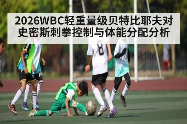 2026WBC轻重量级贝特比耶夫对史密斯刺拳控制与体能分配分析（kaiyun）