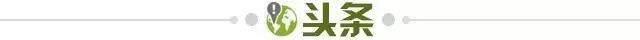 【早报】中国速度！亚洲之光！苏炳添的9秒83神迹！
